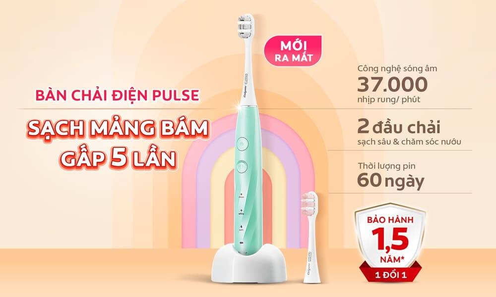 Bàn chải điện Colgate PULSE làm sạch mảng bám gấp 5 lần