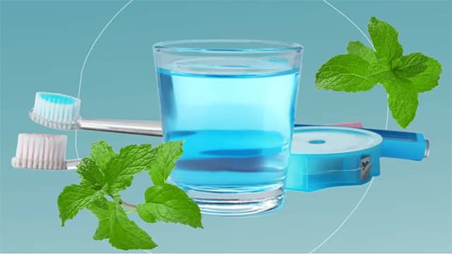 how-many-teeth-do-humans-have - best-natural-mouthwash how-many-teeth-do-humans-have - best-natural-mouthwash