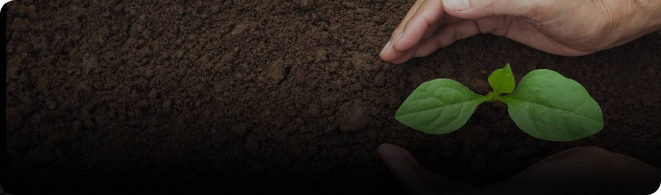 Sản phẩm chăm sóc răng bền vững Sản phẩm chăm sóc răng bền vững