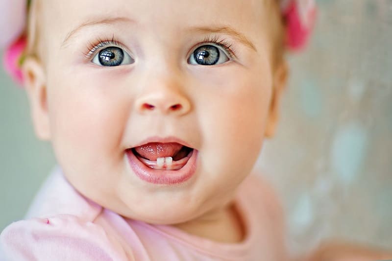 trẻ 6 - 8 tháng tuổi sẽ bắt đầu mọc răng sữa